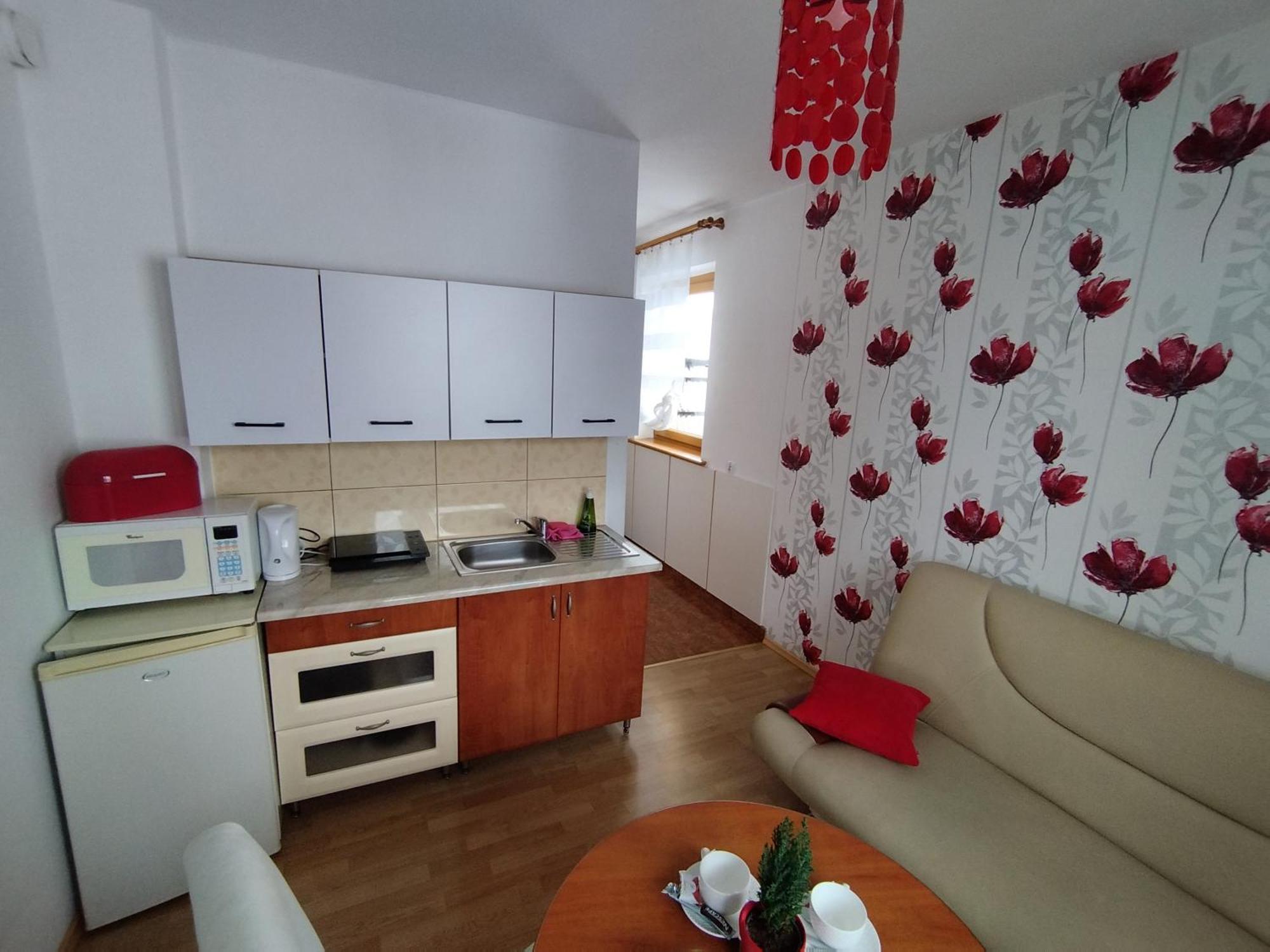 Gliczarów Tatrzanska Panorama 아파트 외부 사진